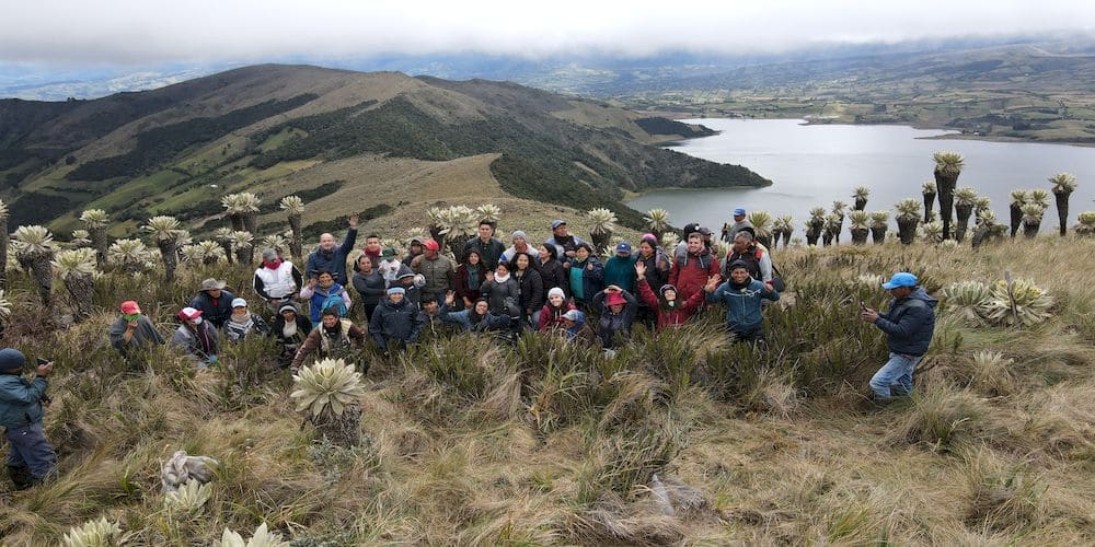 Reforestación empresarial en Colombia